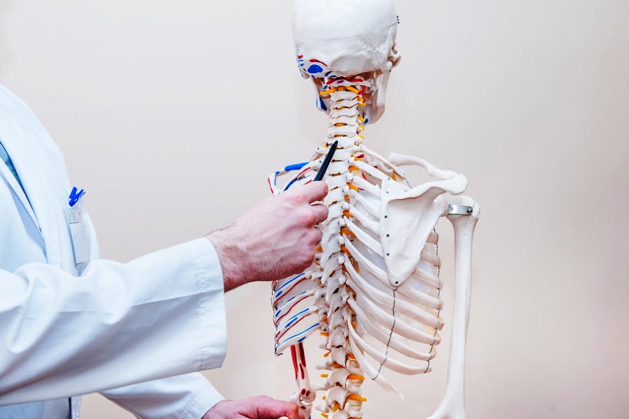 Spinal Cord & Back Injuries